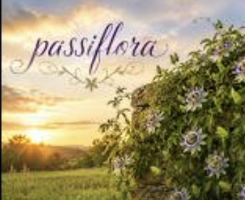 passiflora